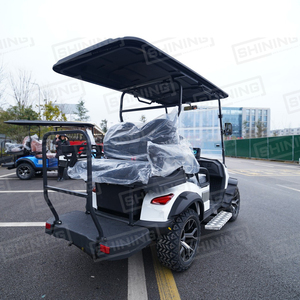 Voiture de golf à essence Shining Brand 4 places homologuée pour la route, avec moteur de 5 kW et batterie de 48 V - Product Image 2