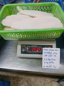 Filete de Pangasius Congelado Blanco Premium IQF de 10-12 cm, Bajo en Carbohidratos, Sin Aditivos, Marca VHFood, Paquete a Granel de Vietnam - Product Image 1
