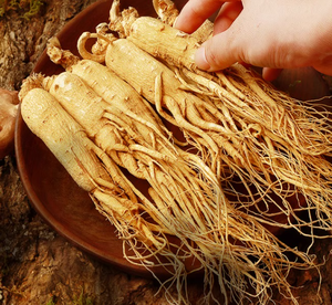 8年干有机人参根6个 (100g) 免费送货草药提取物水提取包装在桶和真空瓶中 - Product Image 4