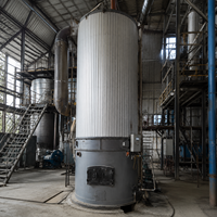 Chaudière industrielle à biomasse à tube vertical YGL basse pression avec sortie d'huile thermique haute température, économe en énergie pour les hôtels