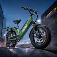 8A Schnellladung 48V 55Ah E-Bike 240KM Reichweite Komfortsattel Wasserdichtes Elektrofahrrad für Essenslieferungen D55 Chamrider