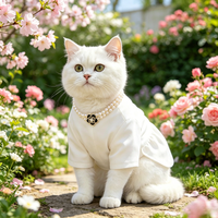 Colliers et accessoires de luxe pour animaux de compagnie : Collection de colliers perlés en perles, bijoux en pierres précieuses et cristaux, motif nœud pour chats et petits chiens