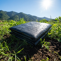 Rouleau de toile tissée anti-mauvaises herbes sur mesure, écologique et robuste, pour couverture de sol, découpe sur mesure pour usage agricole, approvisionnement direct usine