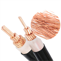 Kabel Listrik PVC Berinsulasi Harga Ekonomis, Konduktor Kawat Tembaga, Tegangan Rendah, Tahan Air untuk Konstruksi