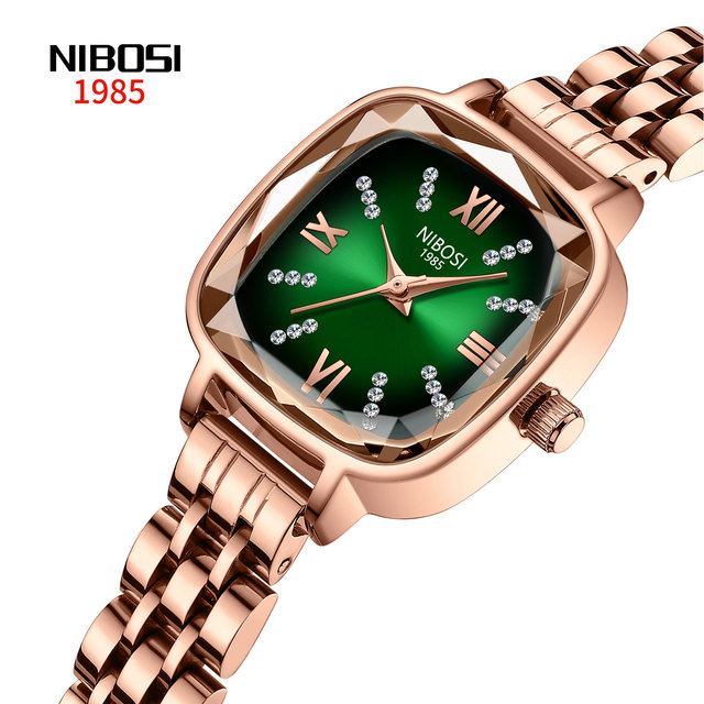 Designer Watches Famous Brands NIBOSI 2535L Small Square Lady Hand Watch