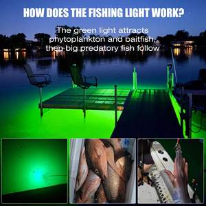 200W 300wdc 12V Led Vissen Onderwater Lichtgroen Wit Blauw Cyaan Diepzee Visnet Lampen - Product Image 5