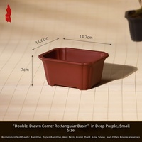 Maceta de Resina Estilo Chino para Suculentas y Bonsáis, Transpirable, con Control de Raíces, para Techo o Balcón, Modelo SCJCFP4, 500g