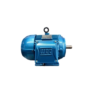 Motor de CA trifásico súper eficiente IE2 IE3 de 150 HP, reemplazo WEG para unidades de estación grandes - Product Image 5
