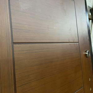 Puerta DE SEGURIDAD TECHTOP económica, modelo básico, puerta de entrada exterior principal de acero blindado para mercados de exportación - Product Image 4