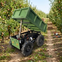 Livraison Gratuite Mini Camion Benne Électrique 500kg 1 Tonne 4x4 Télécommandé Autochargeur pour Ferme