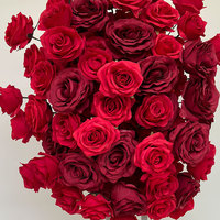 Paredes de Flores al por Mayor, Pared de Flores Artificiales de Seda en Forma de Corazón, Fondo Floral en Forma de Corazón Rojo para Decoración de Bodas