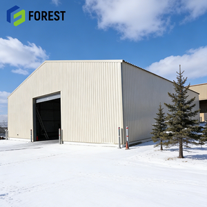 Entrepôt préfabriqué en acier industriel, atelier, structure à longue portée pour gros équipements, supermarché, hôpital, garage, hangar - Product Image 1