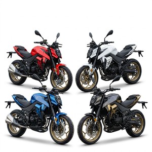 NEWBOT <span class=keywords><strong>Moto</strong></span> <span class=keywords><strong>de</strong></span> <span class=keywords><strong>course</strong></span> puissante 300cc pour adultes, 18,5 kW, haute performance, 125 km/h, FE-300 Factory - Product Image 4