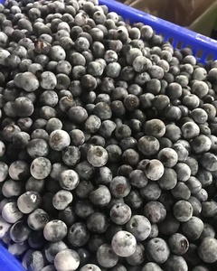 Nho đen đông lạnh iqf phong cách mới iqf quả mọng tươi đông lạnh - Product Image 5