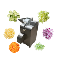 Commerciële automatische grote capaciteit wortel- en fruit snijmachine, groentesnijder voor gember, aardappel, ui, en het maken van blokjes