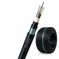 Câble à fibre optique GYTS53, blindé pour extérieur, anti-rongeurs, avec bande d'acier, pour conduit souterrain, G652D G657A1