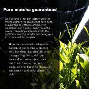 Japanese Ceremonial Grade <strong>Organic</strong> Matcha <strong>Powder</strong> | Shizuoka Japan | Halal Certified | Pure Green Tea <strong>Powder</strong> - Product Image 5