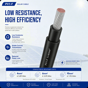 <span class=keywords><strong>Cable</strong></span> Solar Bifilar TUV 2 PfG 1169 <span class=keywords><strong>de</strong></span> 2x10mm2, Cobre Estañado XLPO PV1-F, <span class=keywords><strong>Cable</strong></span> Fotovoltaico para Sistemas <span class=keywords><strong>de</strong></span> Paneles Solares en Vehículos Recreativos y Embarcaciones - Product Image 2
