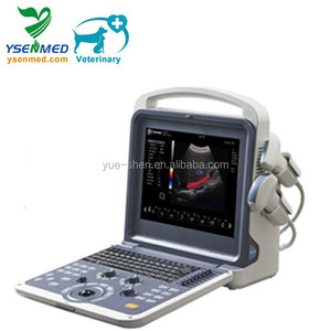 YSB-K2000V YSENMED Animal veterinary color <span class=keywords><strong>doppler</strong></span> portatile ad ultrasuoni laptop vet scanner ad ultrasuoni Pet ultrasound color 3D - Product Image 2
