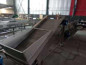 Trieuse automatique de pommes de terre trieuse de tomates Orange Avacados Myrtille <span class=keywords><strong>Cerise</strong></span> Trieuse de tomates - Product Image 3