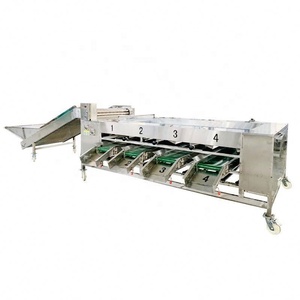 Machine de tri industrielle 1-3T/H pour fruits de <span class=keywords><strong>cactus</strong></span>/avocats, machine de lavage de légumes, ligne de lavage et de séchage de fruits et légumes - Product Image 1