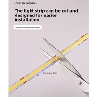 Bande LED COB WiFi bicolore 24V, spectre complet 2700K 6500K, blanc réglable, auto-adhésive, éclairage d'ambiance pour la décoration intérieure, ruban OEM