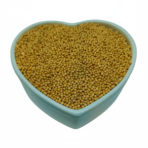 เมล็ดมัสตาร์ดสีเหลืองแท้เหมาะสำหรับผักดองและแกงกะหรี่ - Product Image 1