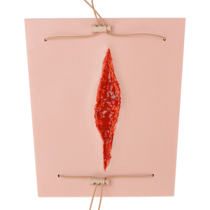 Modèle d'entraînement aux lacérations portable - Simulation de traumatisme sanguin réaliste, outil de pratique des premiers secours - Product Image 6