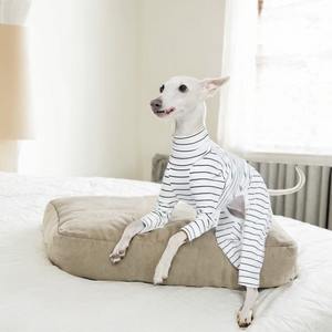 Mono personalizado de Ballet, ajustado, elástico, con rayas de calor, cuello alto, cálido, cómodo, para perros, ropa de invierno para mascotas, para <span class=keywords><strong>Galgo</strong></span> <span class=keywords><strong>Italiano</strong></span> - Product Image 2