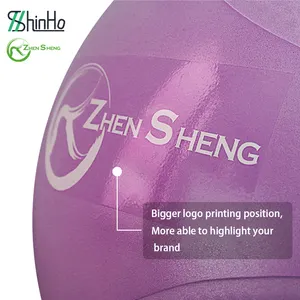 Zhensheng Trainings-Sportgeräte Fitnessstudio-Ball Yoga-Pilates-Ball mit Pumpe Harmonie-Stil