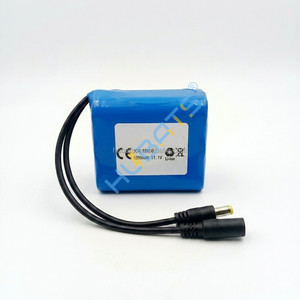 11.1V 5200mAh Li-ion accu pack 12V 5200mAh 18650 3S2P 12V Lithium accu pack 5200mAh 11.1V voor LED verlichting 18650 11.1V 5AH - Product Image 2