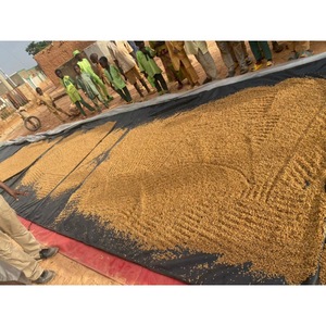 Secadora de granos Acme AMS-500A de 500 kg con cama de burbujas, alimentada por energía solar, para arroz, trigo, maíz y soja - Product Image 3