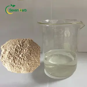 Wholesale Price Seaweed Extract 80% 85% 90% 95% 98% Fucoidan Powder CAS 9072-19-9