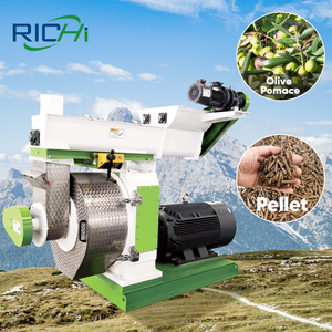 Ricyi เครื่องผลิตเม็ดมะกอก1-2 t/h สำหรับติดตั้งฟรี - Product Image 1