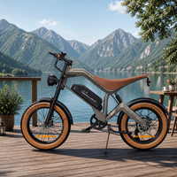 Vélo électrique tout-terrain à pneus larges M20 750W 48V 15.6Ah VTT électrique Stock USA UE 7 vitesses Vente en gros E-bike OEM ODM PROMO