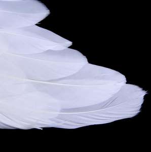 Tüy melek kanatları cadılar bayramı süslü elbise kostüm yetişkin noel doğum günü partisi dekorasyon 17.7inchX13.8inch - Product Image 3