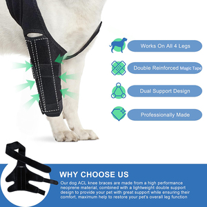 Attelle de genou pour chien de compagnie pour ACL déchiré jambe arrière sangles de chat réglables protecteur de blessure chien genouillère soutien pour jambe arrière et avant - Product Image 2