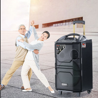 M Bluetooth Trolley Speaker 12 pouces Big Power Pro Audio Powered Speaker Active Sound Karaoke Speaker