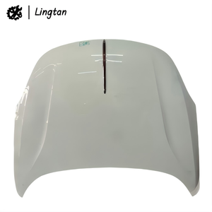 Nouveauté : Garde-boue avant et arrière pour Hongqi HS5 EQM5 H3 H5 H9 OE 5401042-HA01 5401041-HA01 L/R Assemblage de panneau latéral arrière en acier - Product Image 3