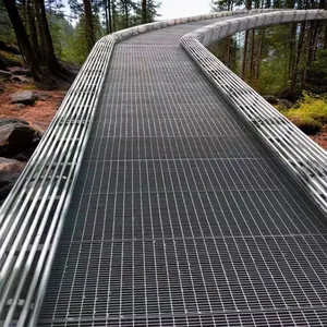 Philippine Price Hot Dip Galvanized Steel Grating Flat Walkway Platform Drainage Cover Stainless Steel Aluminum Alloy Trusted