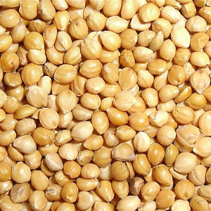 Millet blanc glutineux pur de haute qualité pour graines d'oiseaux - Product Image 2