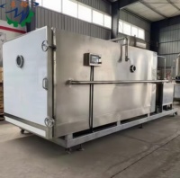 Industriële 50Kg 100Kg 500Kg Capaciteit Sublimatie Vriesdroger Fruit Vriesdroogmachine