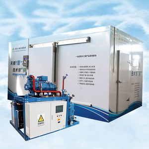 Conteneur frigorifique TianShun 8m*6m*3m avec système de réfrigération R-22/R-404A, tension 110V-480V, compresseurs multi-marques - Product Image 5