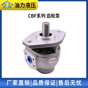 ปั๊มน้ำมันไฮดรอลิกแบบเฟือง ซีรีส์ CBF-(F)E1018 ของฟู่ซิน ซีชوان ฉางเจียง ซีรีส์ CBF-(F)E1018 - Product Image 4