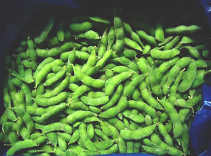 Edamame de Soja Orgánica de Calidad, Edamame Fresco Pelado para Importadores Minoristas, Edamame Gemuse - Product Image 5