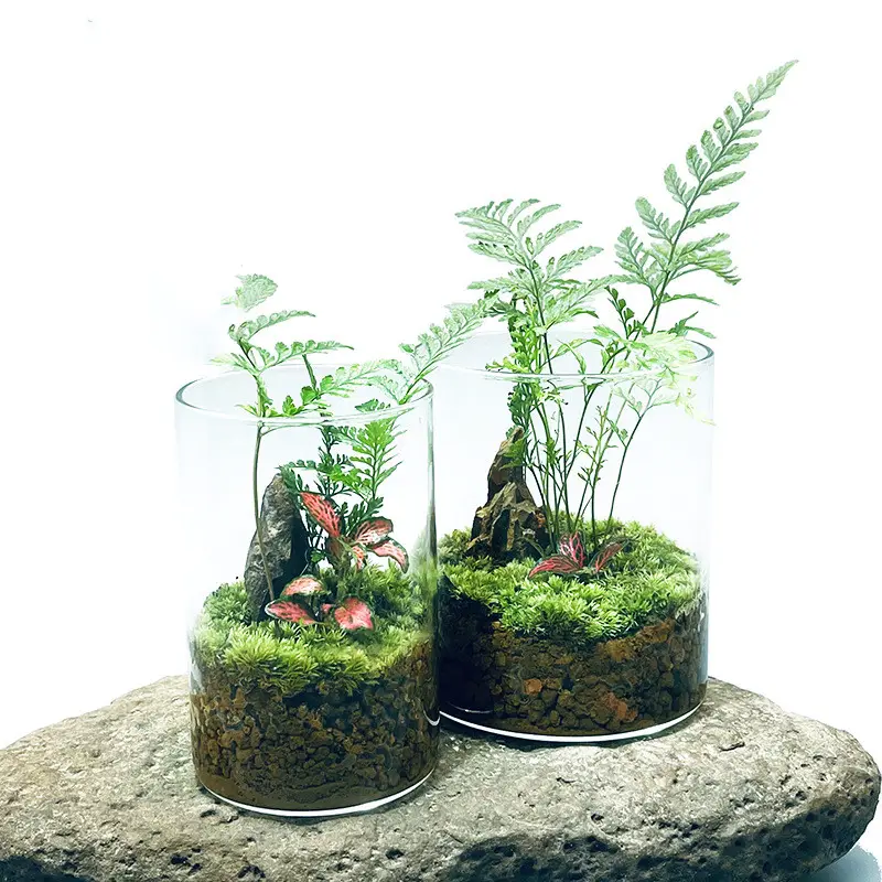 runde transparente Glas Terrarium Pflanzentöpfe für dekorative Kerzenhalter Laternen Vasen und Gläser