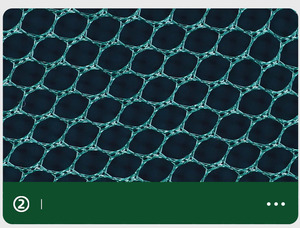 Piège à écrevisses, piège à crabes, piège à poissons pliable, piège à appâts de pêche, filet de pêche, cage avec 18 pieds pour attraper les petits poissons appâts - Product Image 3