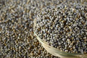 Green Peppercorns Whole Dried Natural Spice Ingredient for Cooking and Seasoning Dried quinoa grains bulk Natural whole grain - Product Image 2