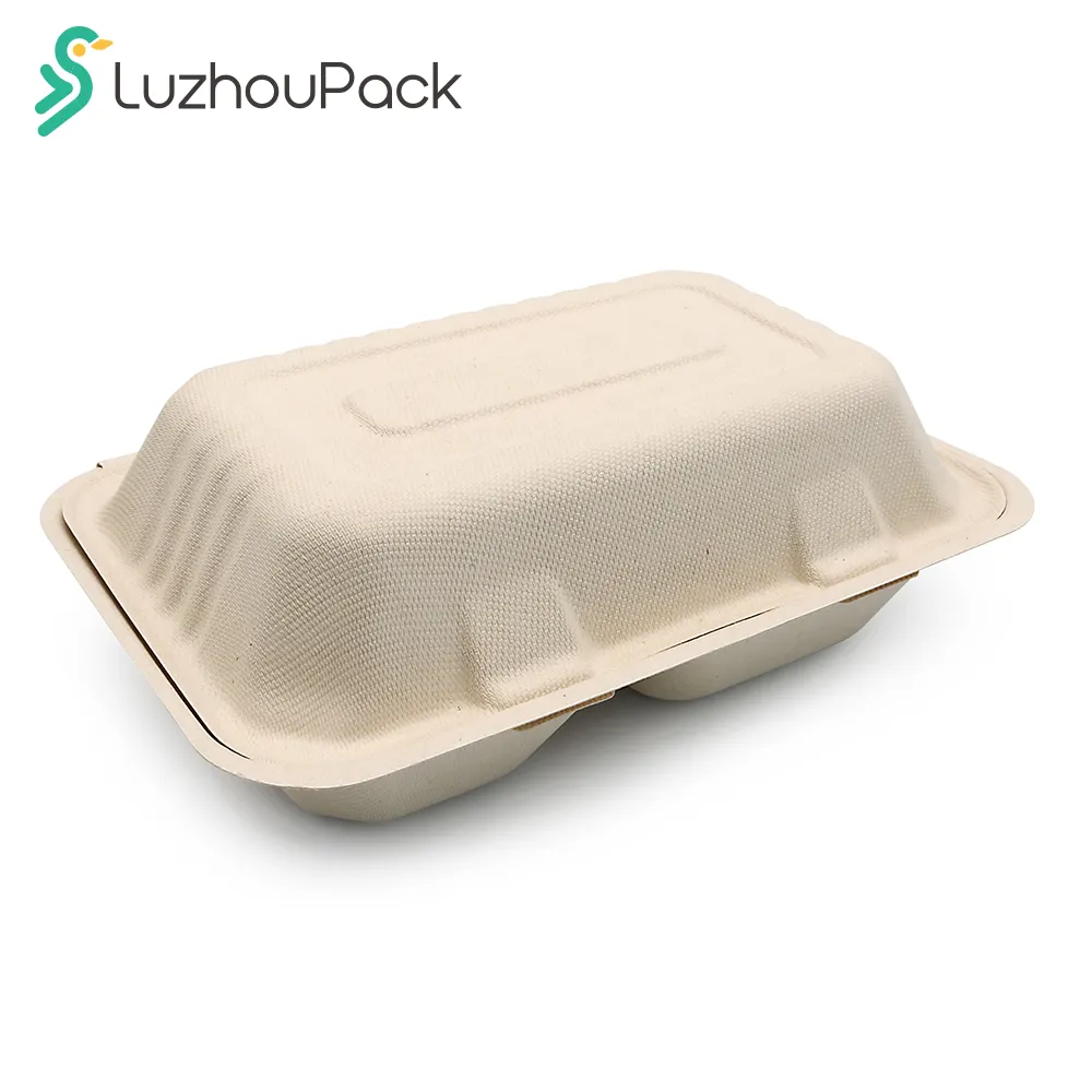 Luzhou Pack Custom PFAS frei abbaubare biologisch abbaubare Clam shell Food Lunchbox Einweg Bagasse Lebensmittel behälter 9x6x3