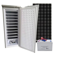 Réfrigérateur-congélateur solaire vertical commercial Transtec BD-198, capacité 198L, compresseur R134a, glace en bandes DIY -18°C, panneau solaire, gel